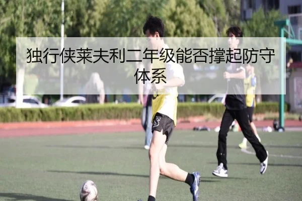 独行侠莱夫利二年级能否撑起防守体系